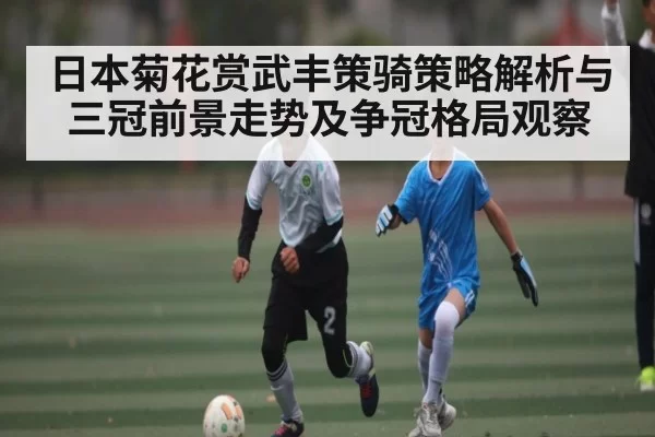 日本菊花赏武丰策骑策略解析与三冠前景走势及争冠格局观察